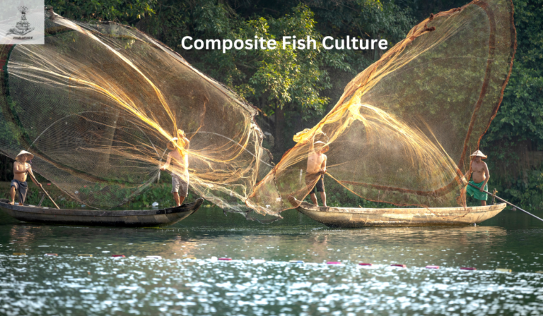 Composite Fish Culture