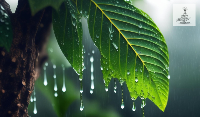 Wellhealth Ayurvedic health tips: Rainy Season (Varsha)