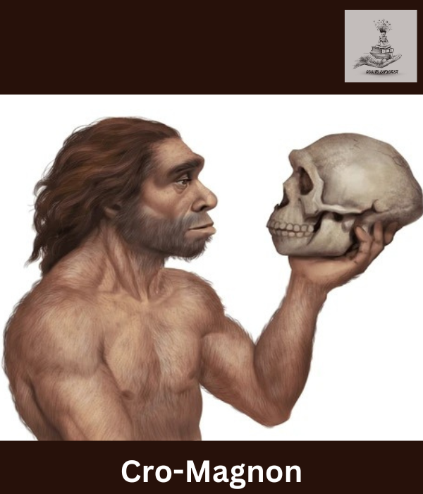 Meet the Cro-Magnon people, early modern humans who lived in Europe around 40,000 to 10,000 years ago. Renowned for their cave art and sophisticated tools, they thrived during the Upper Paleolithic period.