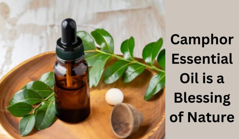 Camphor Essential Oil bottle surrounded by fresh green leaves.